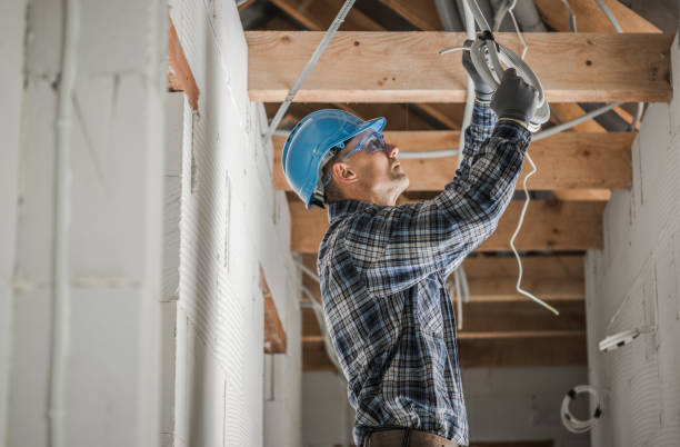 Best Electrical System Inspection  in Moapa Valley, NV